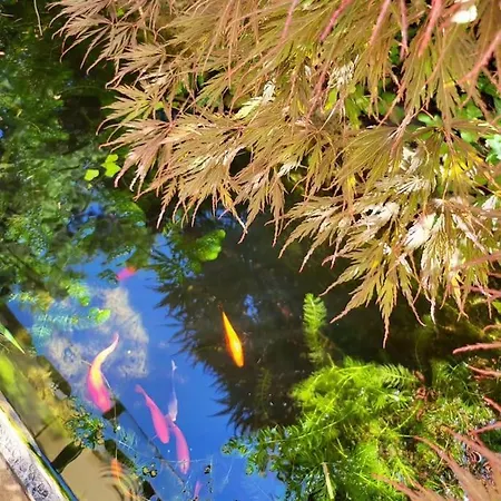 Romantic Nest With Free Parking 아파트 *